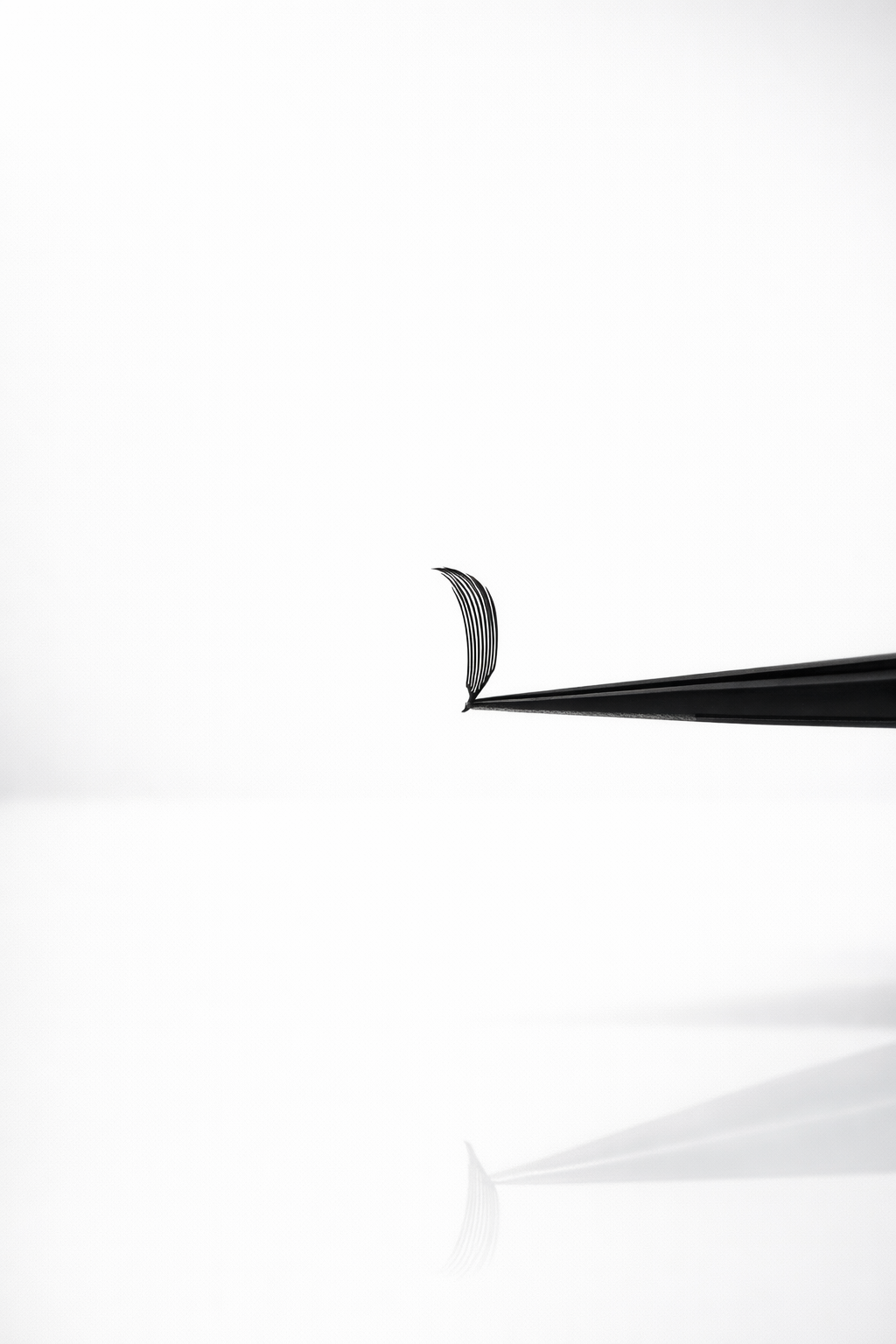 PLUME